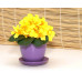 Горшок для цветов керамический с поддоном Бутон Глянец сирен. 10см (ГЛ 05/0)