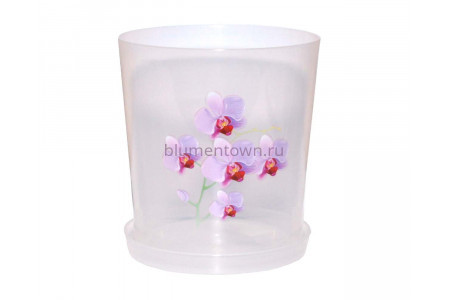 Горшок для цветов пластиковый с поддоном Для Орхидей 1,8л (прозр)-1 с под м1604Ж             
