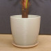 Горшок для цветов керамический с поддоном крокус гнездо сер.N6 25,5см ()
