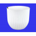 Кашпо пластиковое двойное без поддона и дренажного отверстия Альфа 2,9л (бел) 550                         